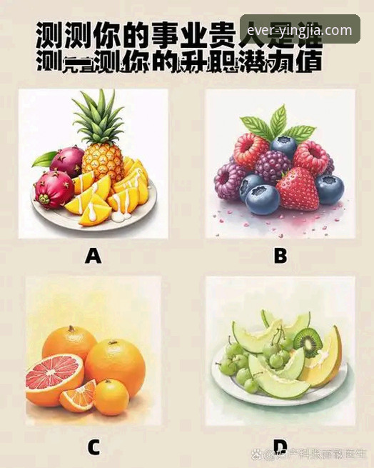 判断盈嘉体育是否正规必备的5个关键维度